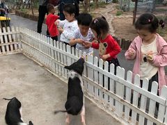 -泰宁田林幼儿园