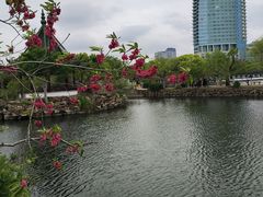 -无锡蠡湖国家湿地公园-蠡园