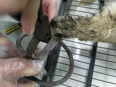 -贝妮宠物医院