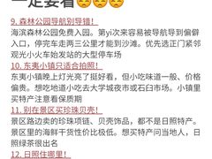 -日照海滨国家森林公园