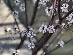 -南长河公园