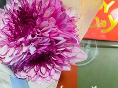 -小苍兰风铃草蛋糕甜品(沈阳店)