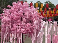 -盈香心动乐园