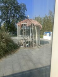 -造物庄园 萌宠纪(苏州湾歌林公园店)