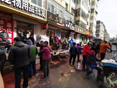 -哈尔滨道外花鸟鱼市场