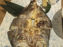 -鮨桐日本料理(望京店)
