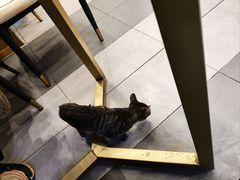 -秘觉(汉街店)