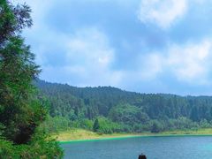 -武陵山森林公园