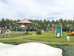 -呼兰河口湿地公园