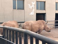 -鄂尔多斯野生动物园