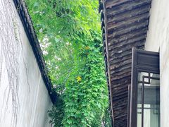 -乌镇东栅景区