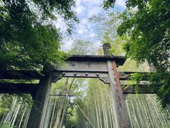 -西湖风景区十里琅珰-五云山