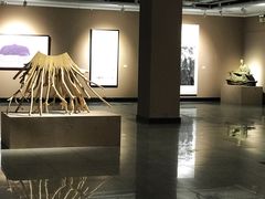 -湖北省美术院美术馆