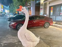 -巢湖名吃·东关老鹅汤(江南风情街店)