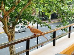 -神仙馆(衡山路店)