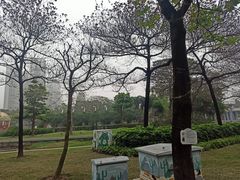 -文华公园(禅城区)