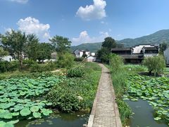 -水香园·中国徽菜名店(紫霞大道店)