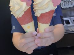 -麦当劳(石家庄北国店)