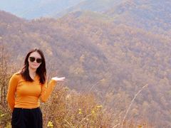 -灵山