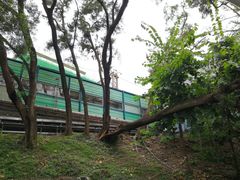 -大埔公路-马料水段香港中文大学(公交站)