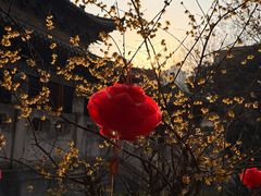 -万寿八仙宫