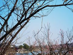 -上海海湾国家森林公园