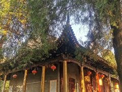 -兴教寺