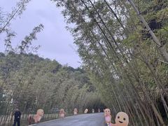 -婺源月亮湾