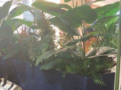 -Pennehut畔尼意面(合肥万象城店)