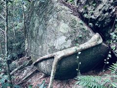 -七仙岭温泉国家森林公园