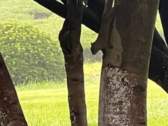 -宜兴龙背山森林公园