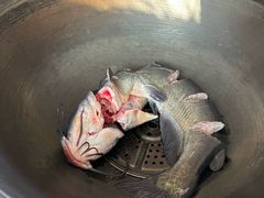 -北京龙庆四季香农家饭庄·灶台鱼·碳烤虹鳟鱼(龙庆峡店)