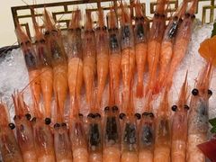 -贵木日本料理·铁板烧(新地假日广场店)