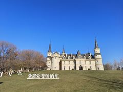 -北京张裕爱斐堡酒庄