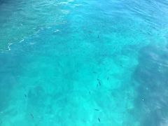 -查汶海滩