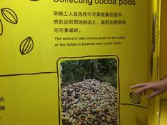 -歌斐颂巧克力小镇