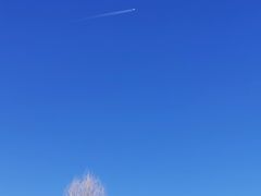 -鹞子沟国家森林公园