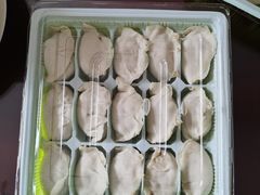 -老马家蒸饺(南海街店)