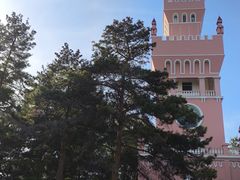 -黑龙江省森林植物园