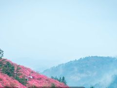 -木兰云雾山