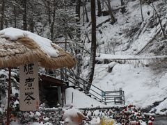 -峡谷浮石林景区