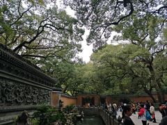-普陀山风景名胜区-法雨禅寺