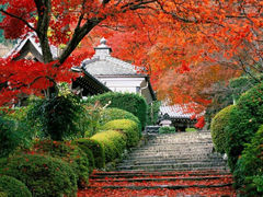 -大明山自然探索公园