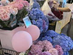 -合景·悠方(成都店)