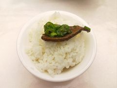 -芙蓉凰花园酒楼