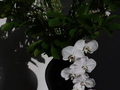 -金融街·静安中心