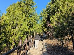 -北京十三陵国家森林公园蟒山景区