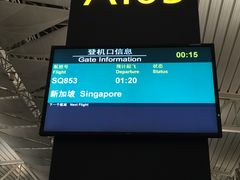 -新加坡航空公司(ION)