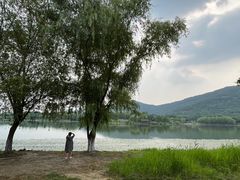-长广溪湿地公园