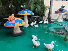 -三亚亚龙湾天域度假酒店